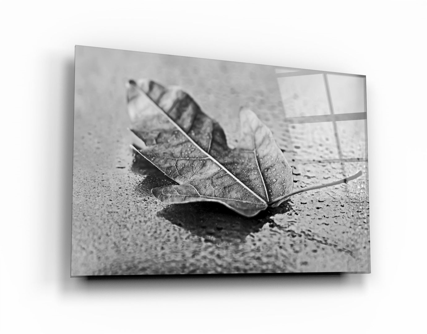 ・"The Leaf 1"・Glass Wall Art | Artdesigna Glass Printing Wall Arts.