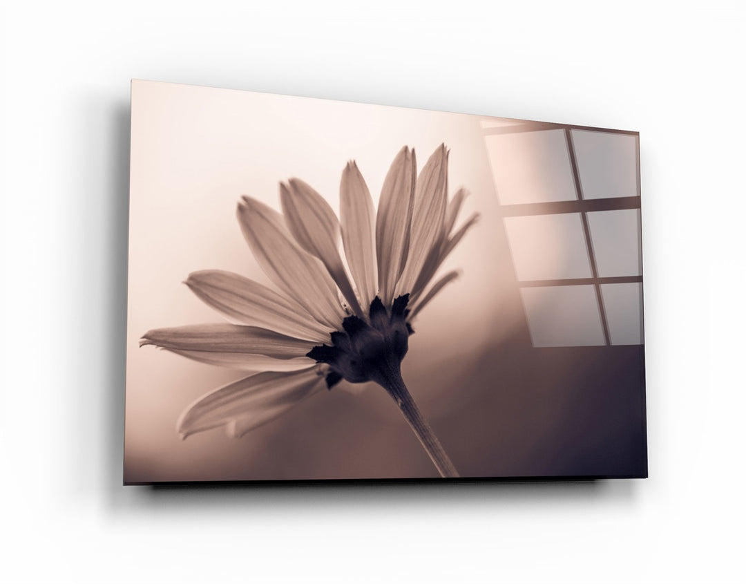 ・"Flower"・Glass Wall Art | Artdesigna Glass Printing Wall Arts.