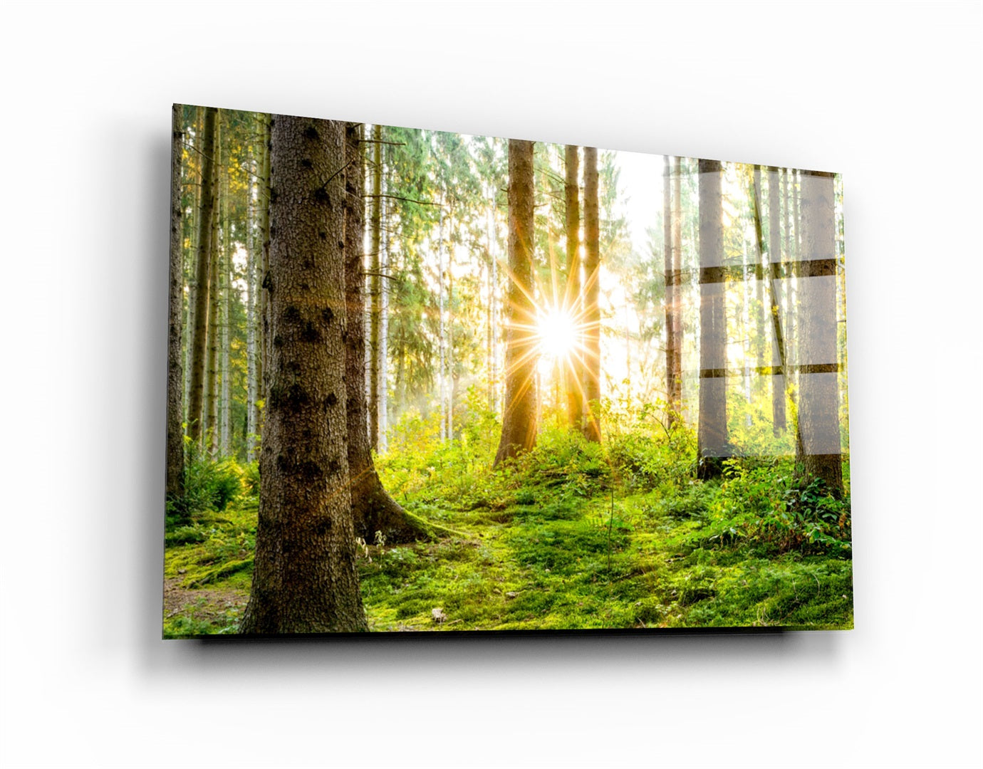 ・"The Forest"・Glass Wall Art | Artdesigna Glass Printing Wall Arts.