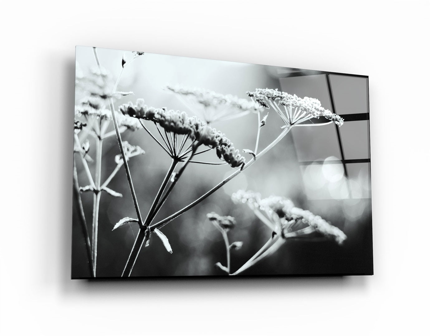 ・"Flower"・Glass Wall Art | Artdesigna Glass Printing Wall Arts.