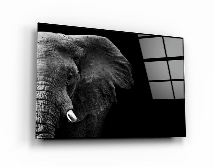 ・"Elephant"・Glass Wall Art | Artdesigna Glass Printing Wall Arts.