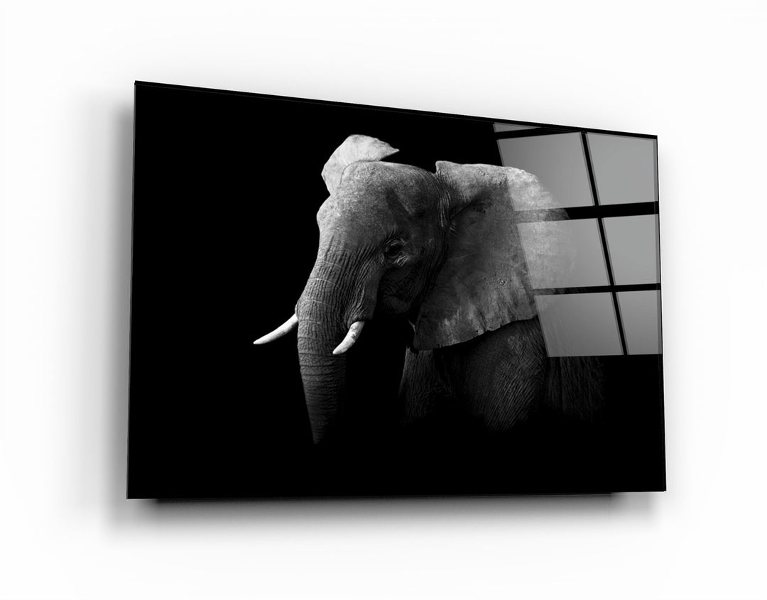 ・"Elephant"・Glass Wall Art | Artdesigna Glass Printing Wall Arts.