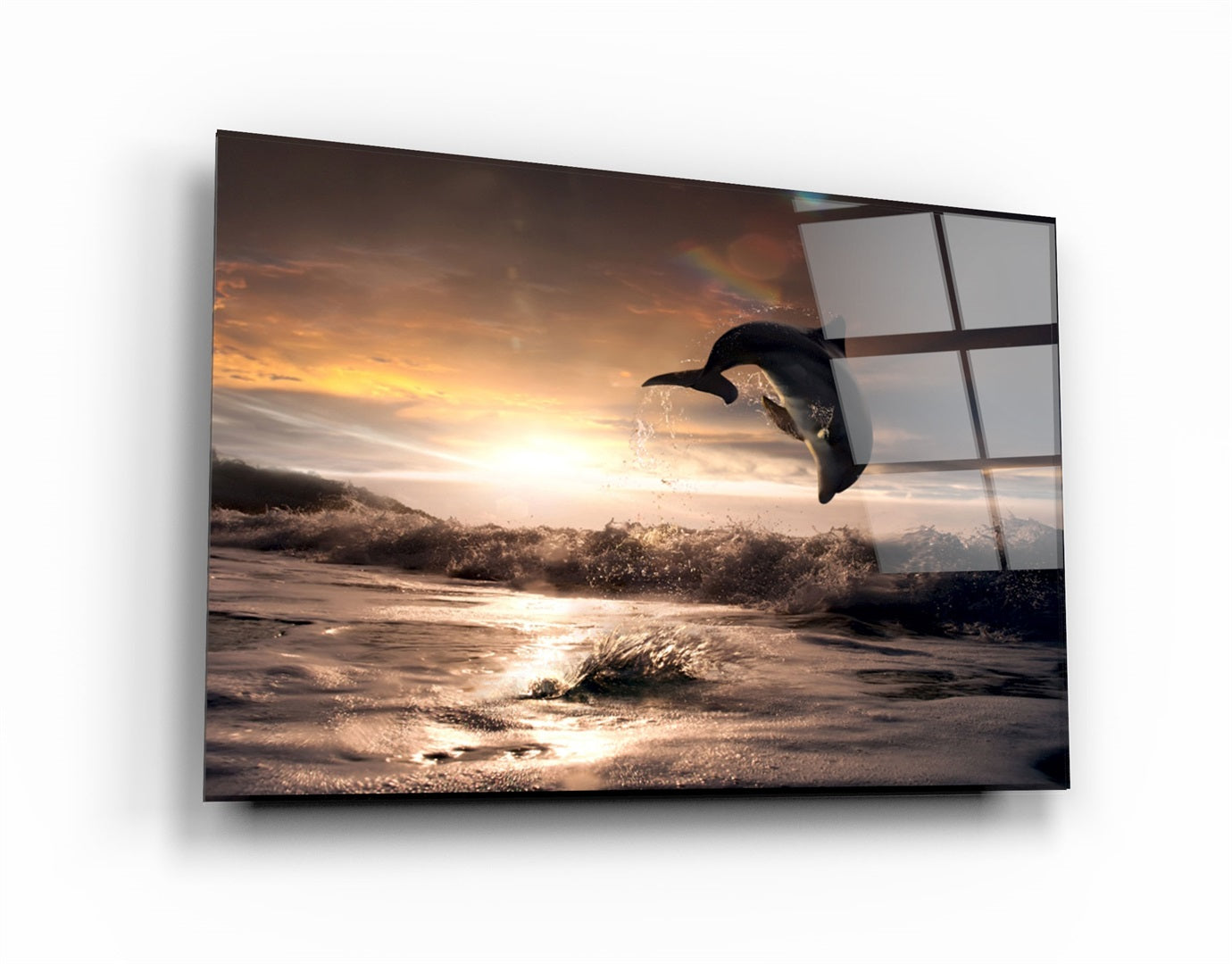 ・"Dolphin"・Glass Wall Art | Artdesigna Glass Printing Wall Arts.