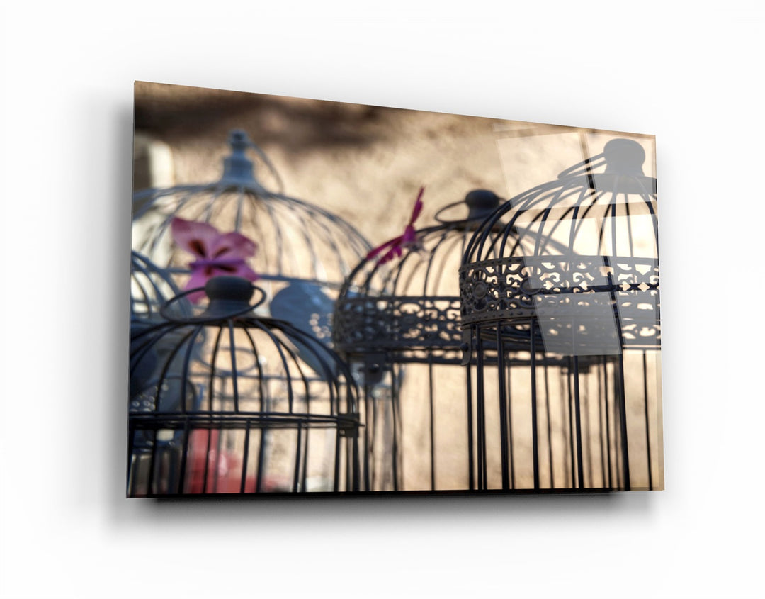 ・"Bird Cage"・Glass Wall Art | Artdesigna Glass Printing Wall Arts.