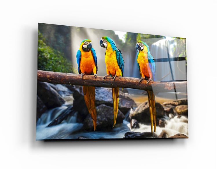 ・"Parrots"・Glass Wall Art | Artdesigna Glass Printing Wall Arts.