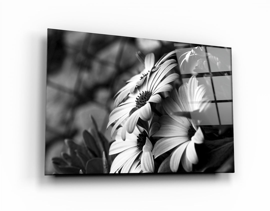 ・"Black - White Flower"・Glass Wall Art | Artdesigna Glass Printing Wall Arts.