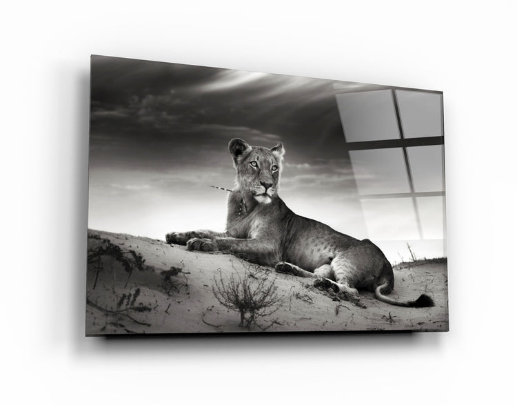 ・"Lioness"・Glass Wall Art | Artdesigna Glass Printing Wall Arts.