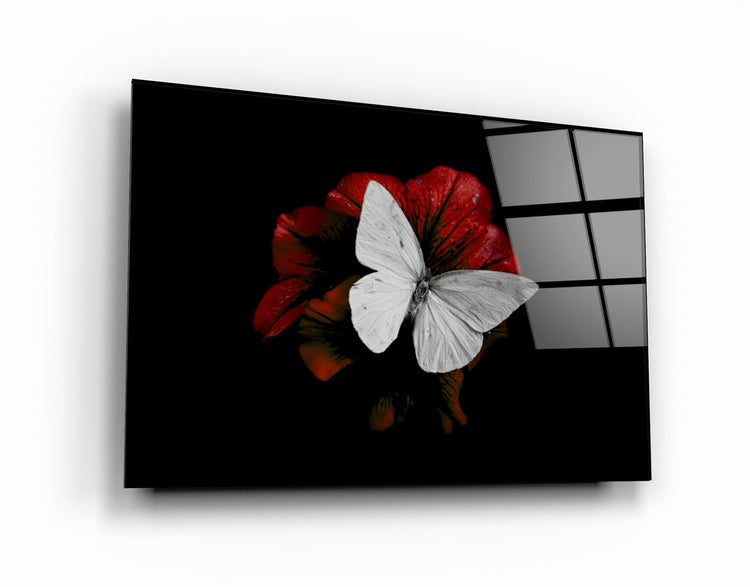 ・"Butterfly 3"・Glass Wall Art | Artdesigna Glass Printing Wall Arts.