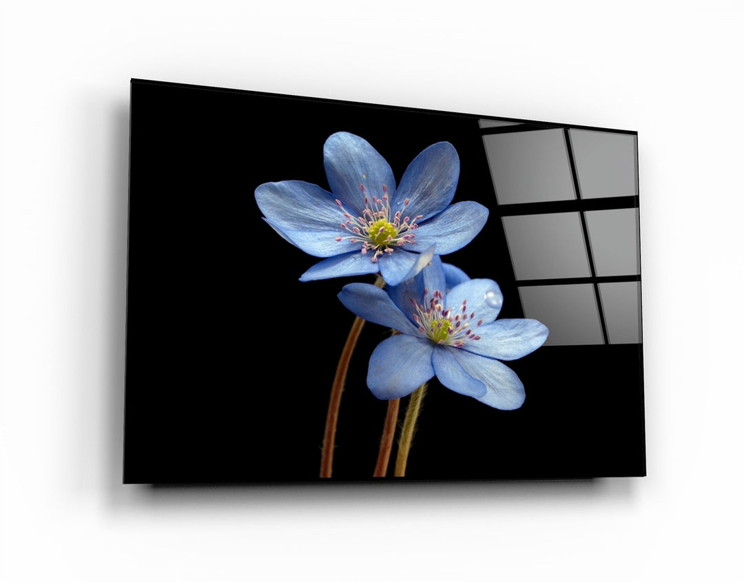 ・"Blue Flower"・Glass Wall Art | Artdesigna Glass Printing Wall Arts.