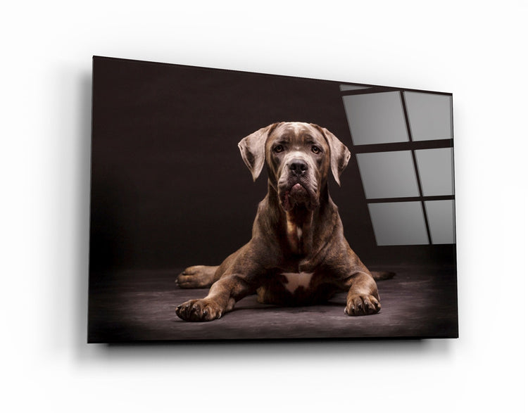 ・"Dog"・Glass Wall Art | Artdesigna Glass Printing Wall Arts.