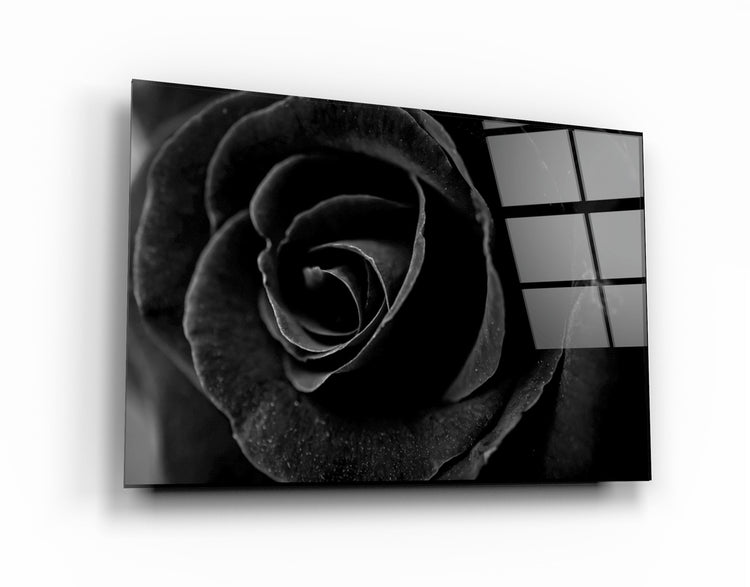 ・"Black Rose"・Glass Wall Art | Artdesigna Glass Printing Wall Arts.