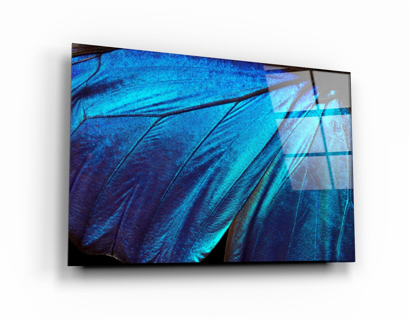 ・"Butterfly Wing"・Glass Wall Art | Artdesigna Glass Printing Wall Arts.