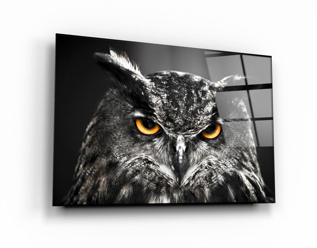 ・"Owl"・Glass Wall Art | Artdesigna Glass Printing Wall Arts.