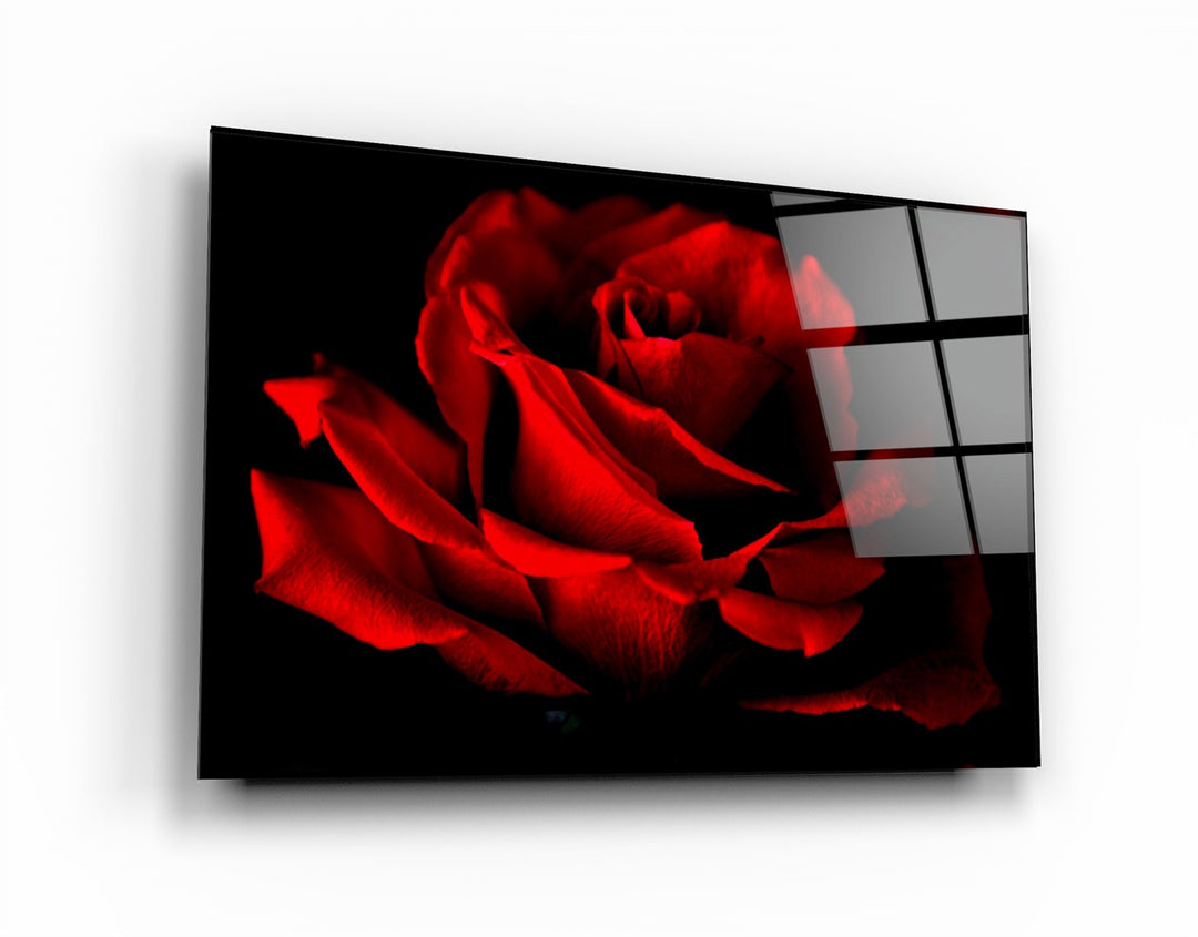 ・"Red Rose"・Glass Wall Art | Artdesigna Glass Printing Wall Arts.