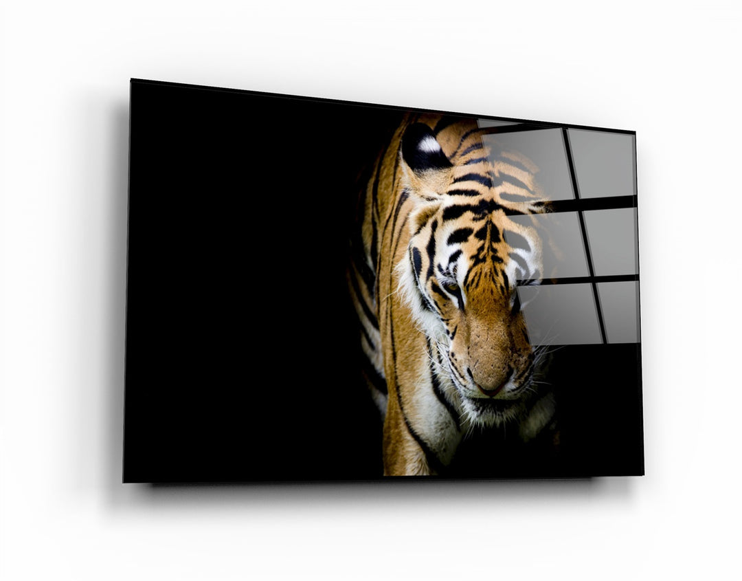 ・"Tiger 3"・Glass Wall Art | Artdesigna Glass Printing Wall Arts.