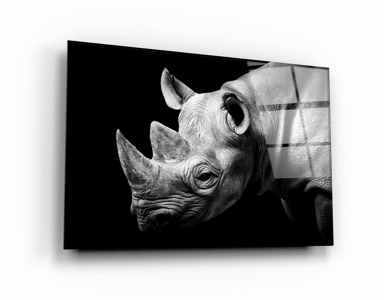 ・"Rhino"・Glass Wall Art | Artdesigna Glass Printing Wall Arts.