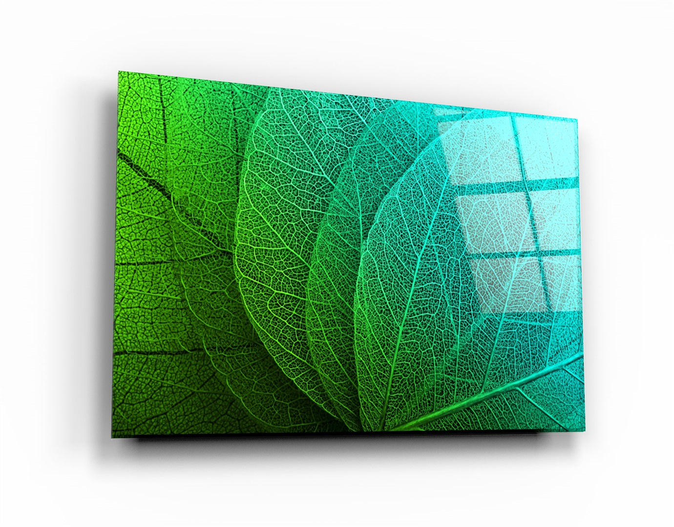 ・"Green Leaf 2"・Glass Wall Art | Artdesigna Glass Printing Wall Arts.