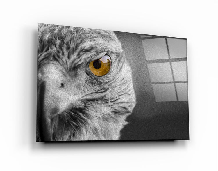 ・"Hawk"・Glass Wall Art | Artdesigna Glass Printing Wall Arts.