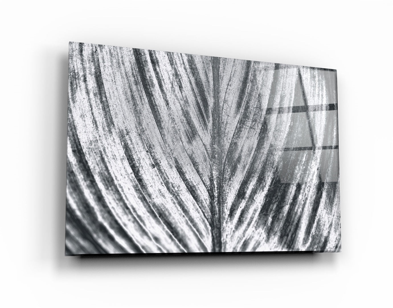 ・"Leaf"・Glass Wall Art | Artdesigna Glass Printing Wall Arts.
