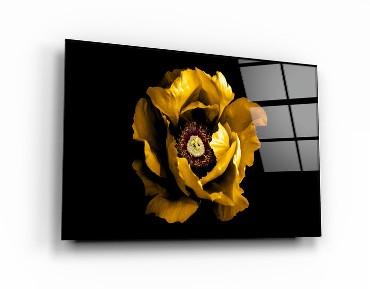 ・"Yellow Rose 2"・Glass Wall Art | Artdesigna Glass Printing Wall Arts.