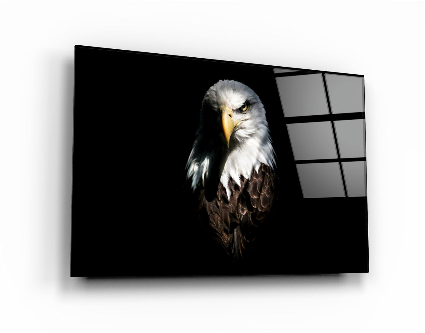 ・"Eagle 1"・Glass Wall Art | Artdesigna Glass Printing Wall Arts.