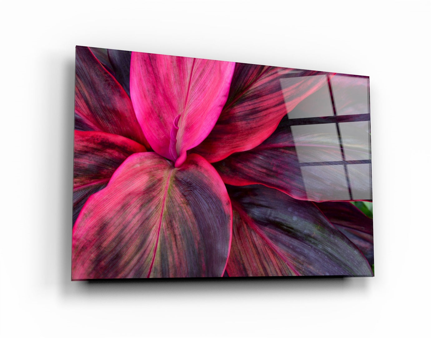 ・"Pink Leaves"・Glass Wall Art | Artdesigna Glass Printing Wall Arts.