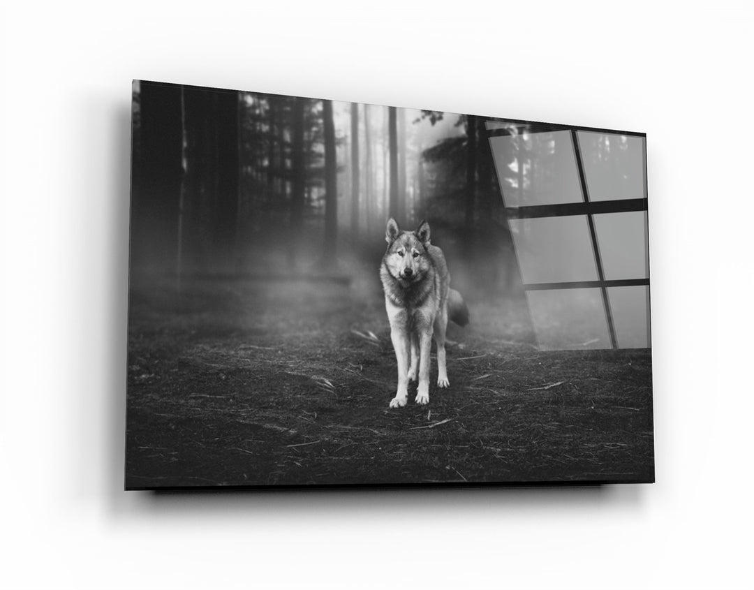 ・"Wolf 4"・Glass Wall Art | Artdesigna Glass Printing Wall Arts.