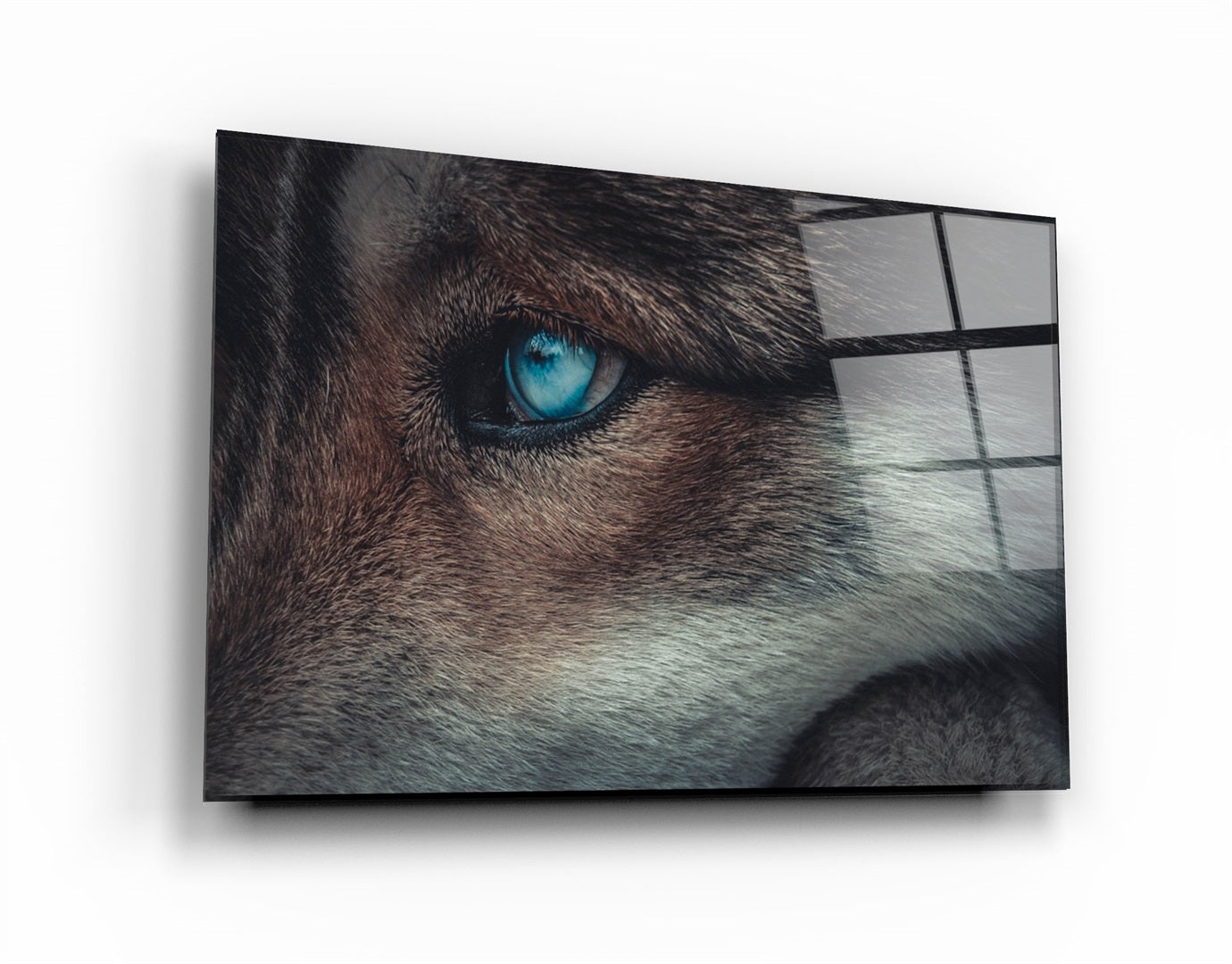 ・"Foxblue"・Glass Wall Art | Artdesigna Glass Printing Wall Arts.