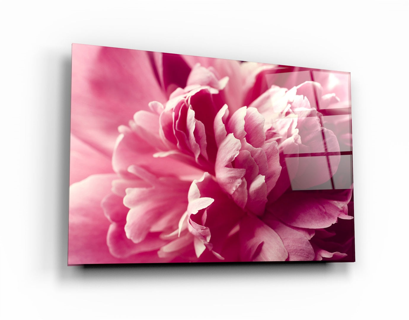 ・"Pinkflow"・Glass Wall Art | Artdesigna Glass Printing Wall Arts.