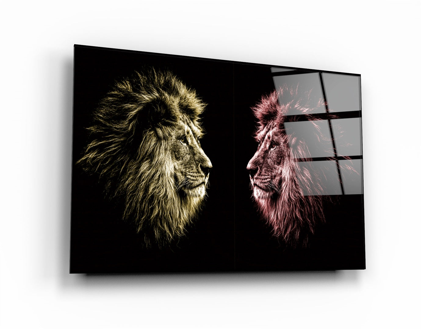 ・"Lions Confrontation YR "・Glass Wall Art | Artdesigna Glass Printing Wall Arts.