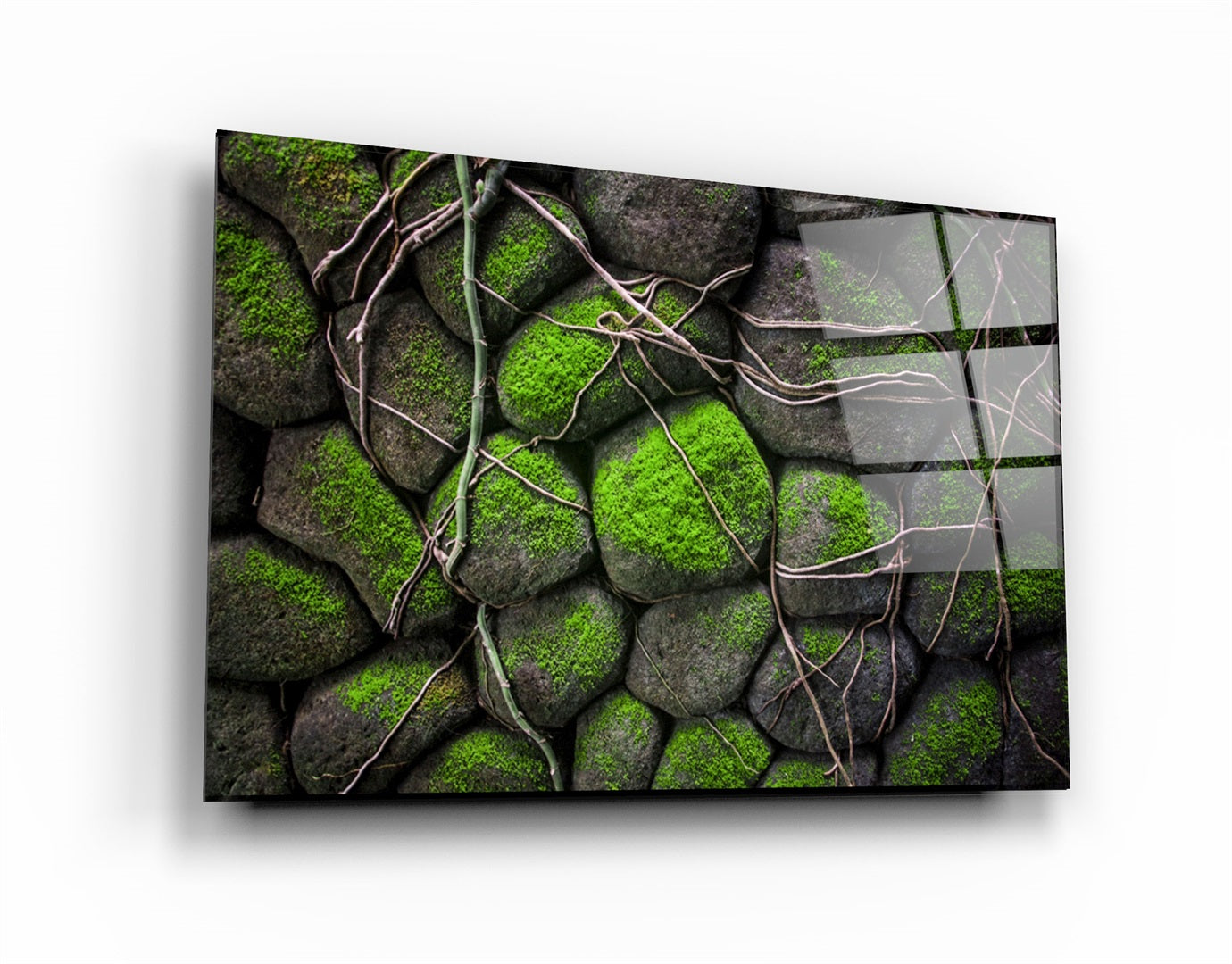 ・"Ivy"・Glass Wall Art | Artdesigna Glass Printing Wall Arts.