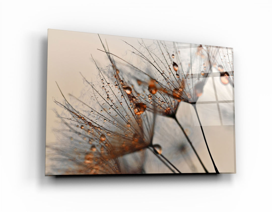 ・"Flower Orange"・Glass Wall Art | Artdesigna Glass Printing Wall Arts.