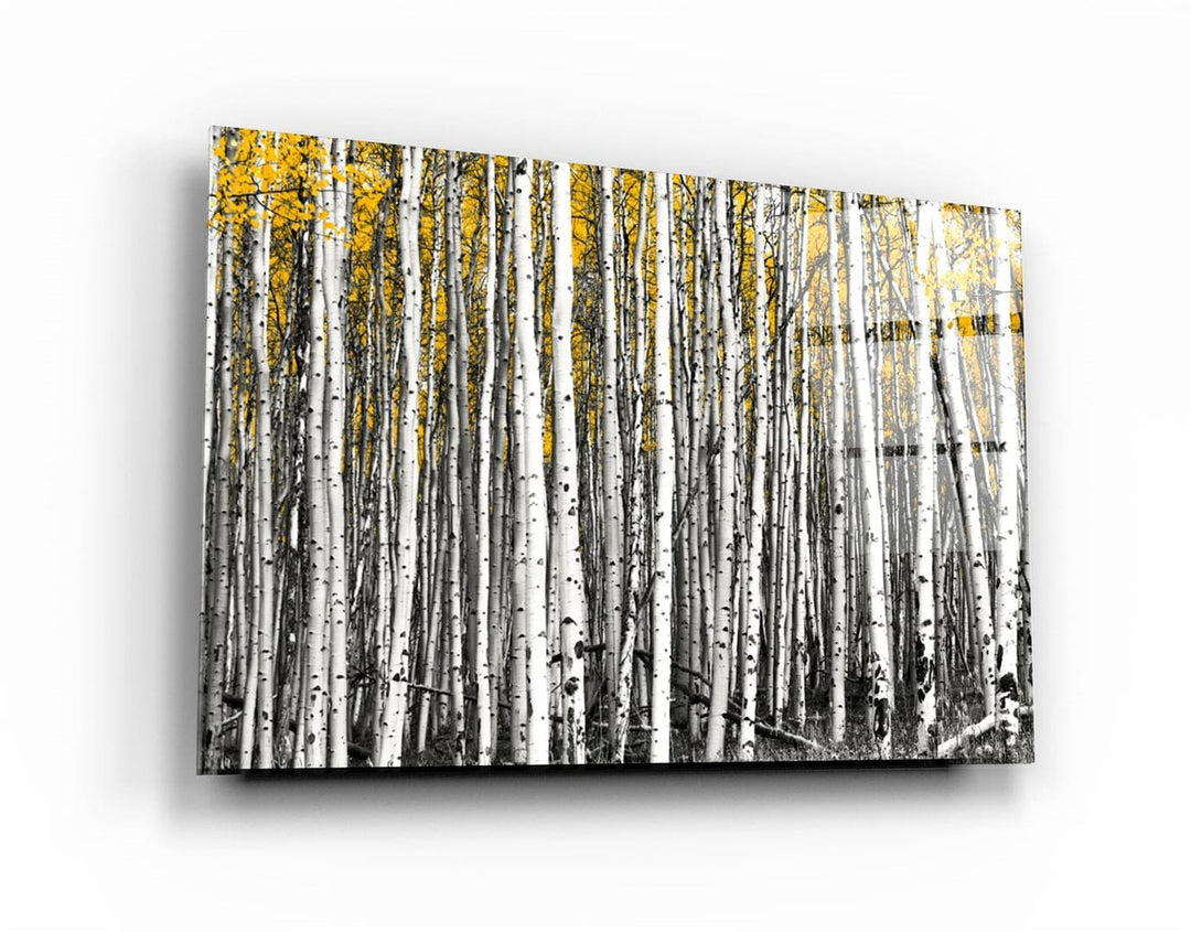 ・"Abstract White Trees"・Glass Wall Art | Artdesigna Glass Printing Wall Arts.