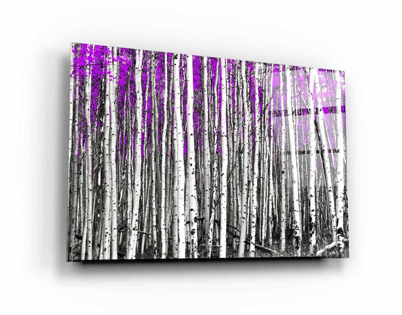 ・"Abstract White Trees V3"・Glass Wall Art | Artdesigna Glass Printing Wall Arts.