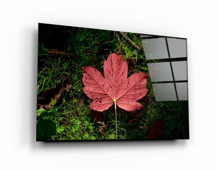 ・"Plane Leaf"・Glass Wall Art | Artdesigna Glass Printing Wall Arts.