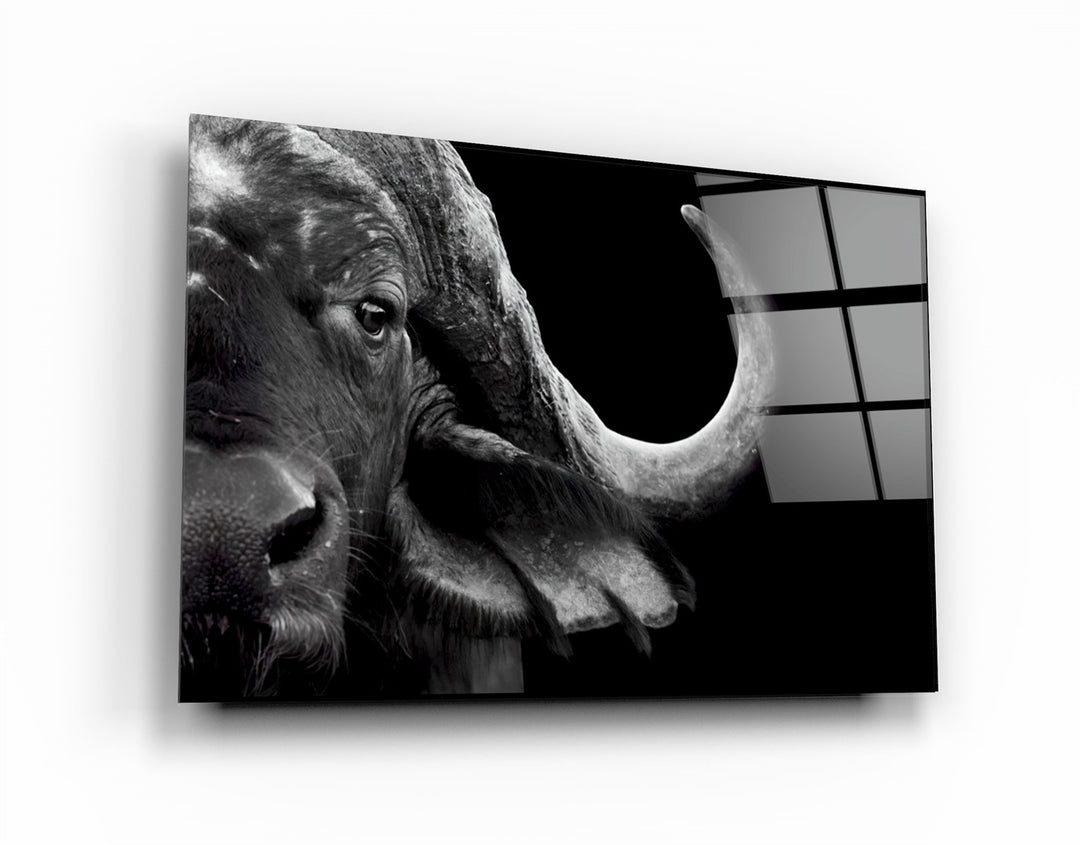 ・"Buffalo"・Glass Wall Art | Artdesigna Glass Printing Wall Arts.