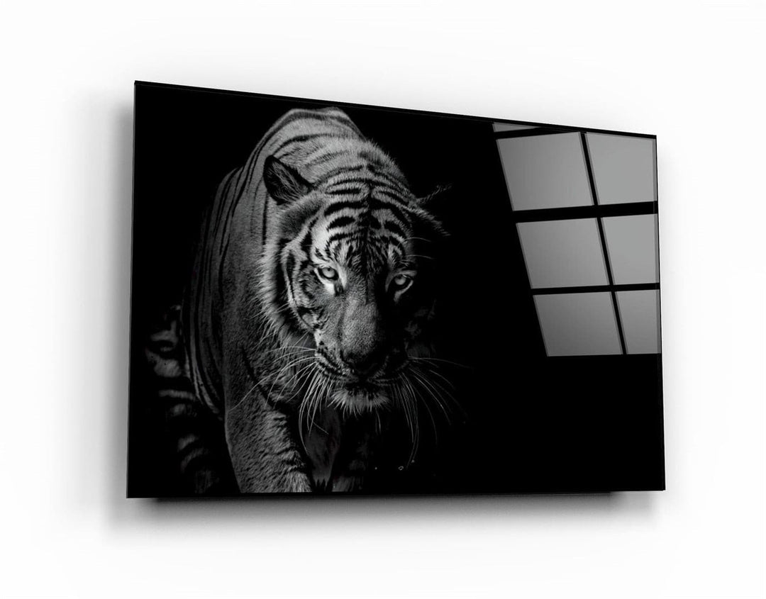 ・"Tiger in the Black"・Glass Wall Art | Artdesigna Glass Printing Wall Arts.