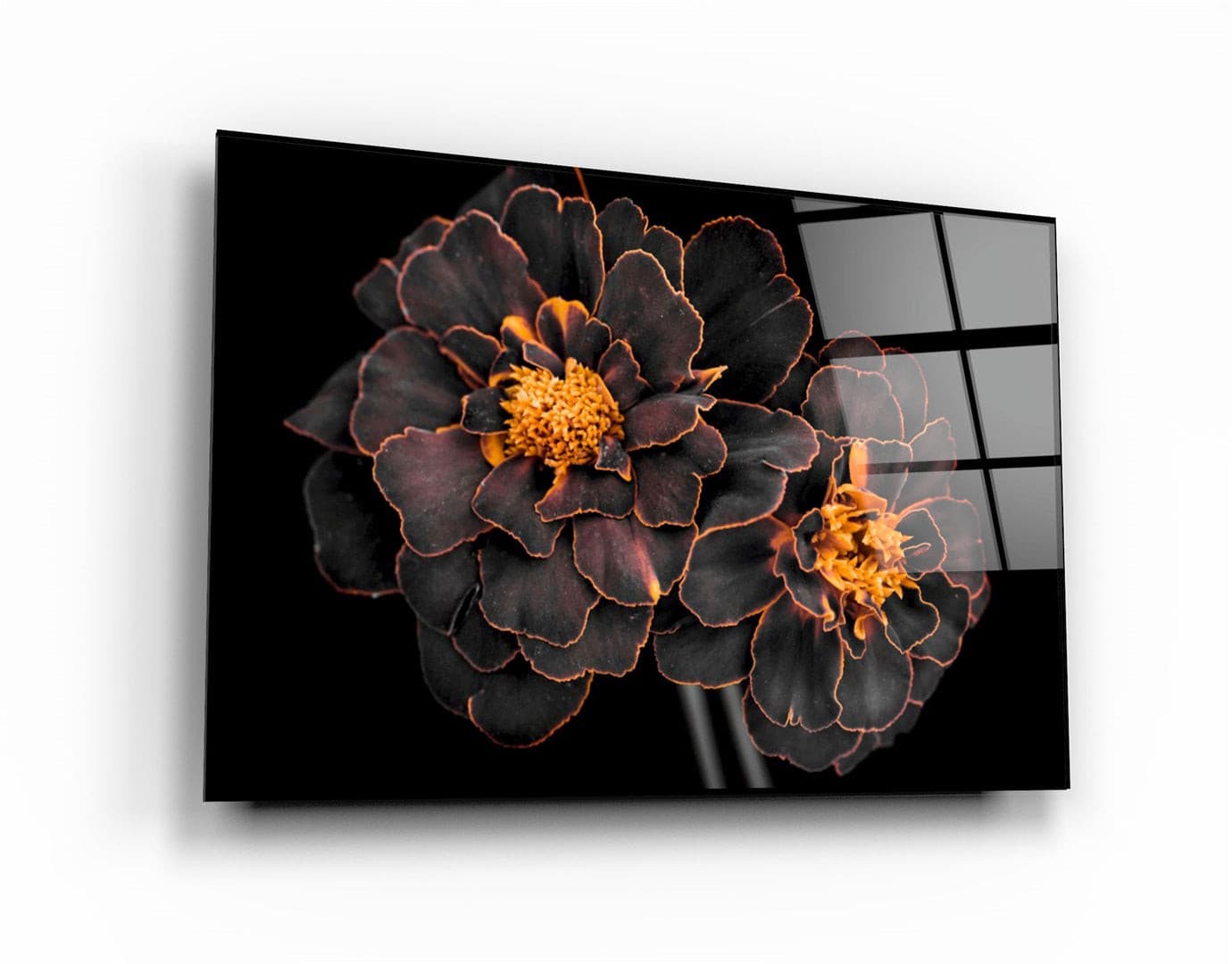 ・"Black and Yellow Flowers"・Glass Wall Art | Artdesigna Glass Printing Wall Arts.