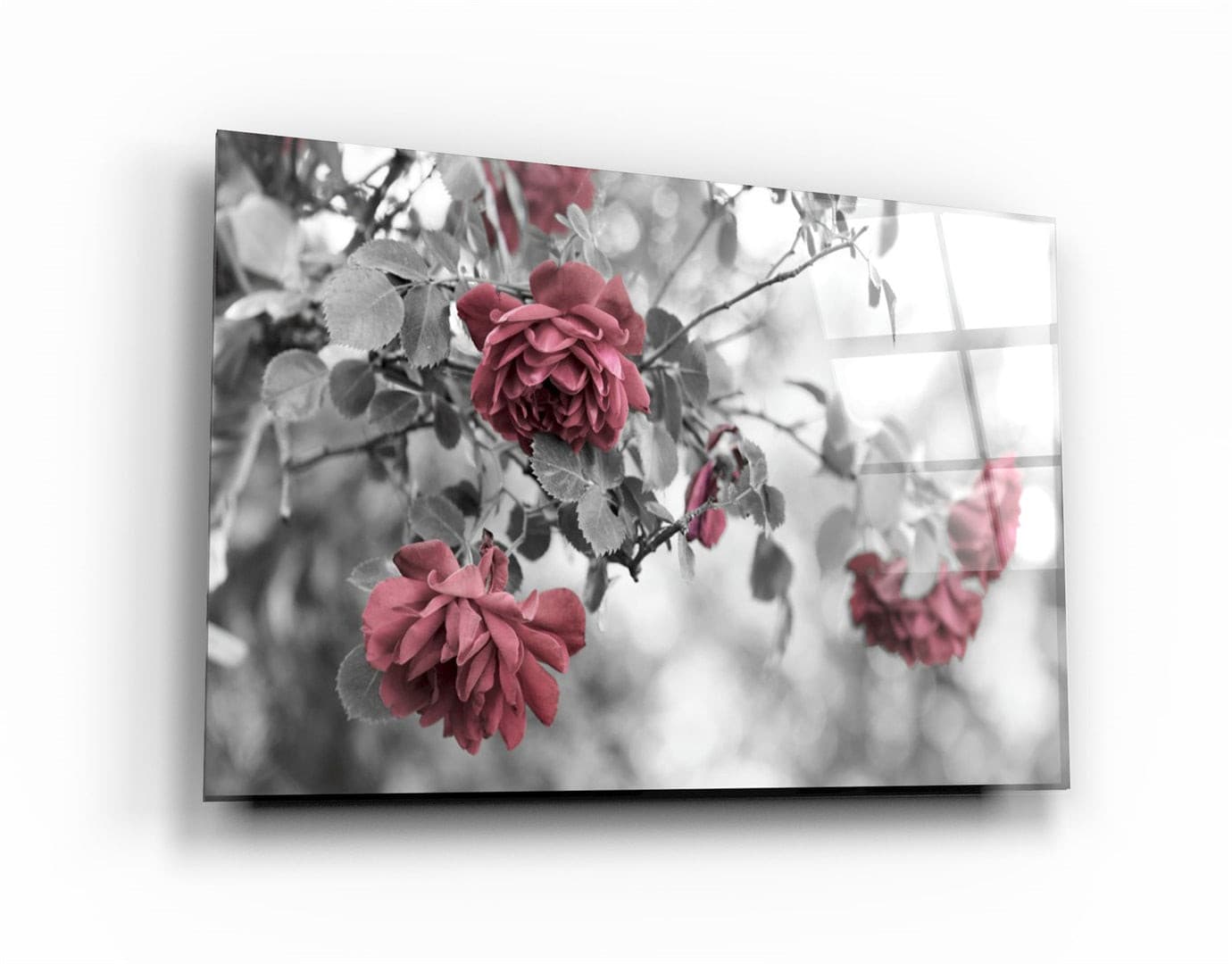 ・"Roses"・Glass Wall Art | Artdesigna Glass Printing Wall Arts.