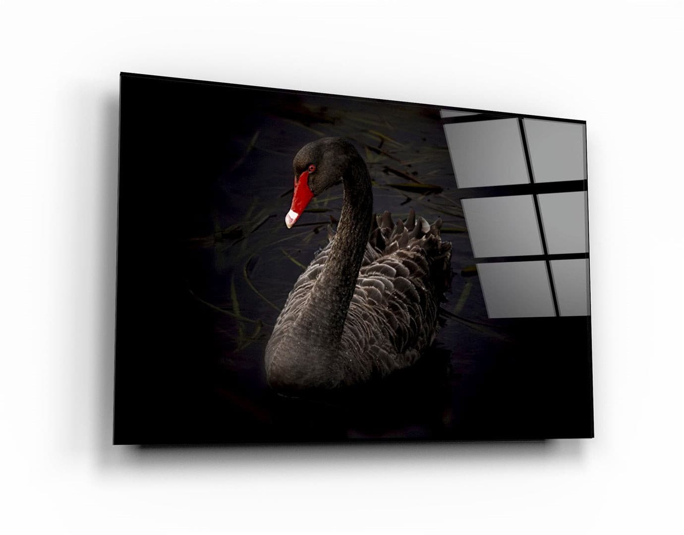 ・"Black Goose"・Glass Wall Art | Artdesigna Glass Printing Wall Arts.