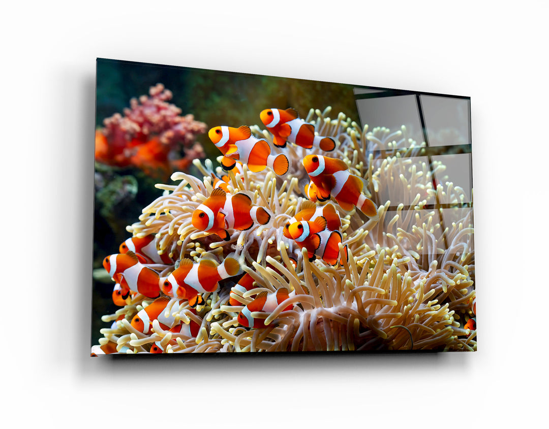 ・"Fishes on Corals"・Glass Wall Art