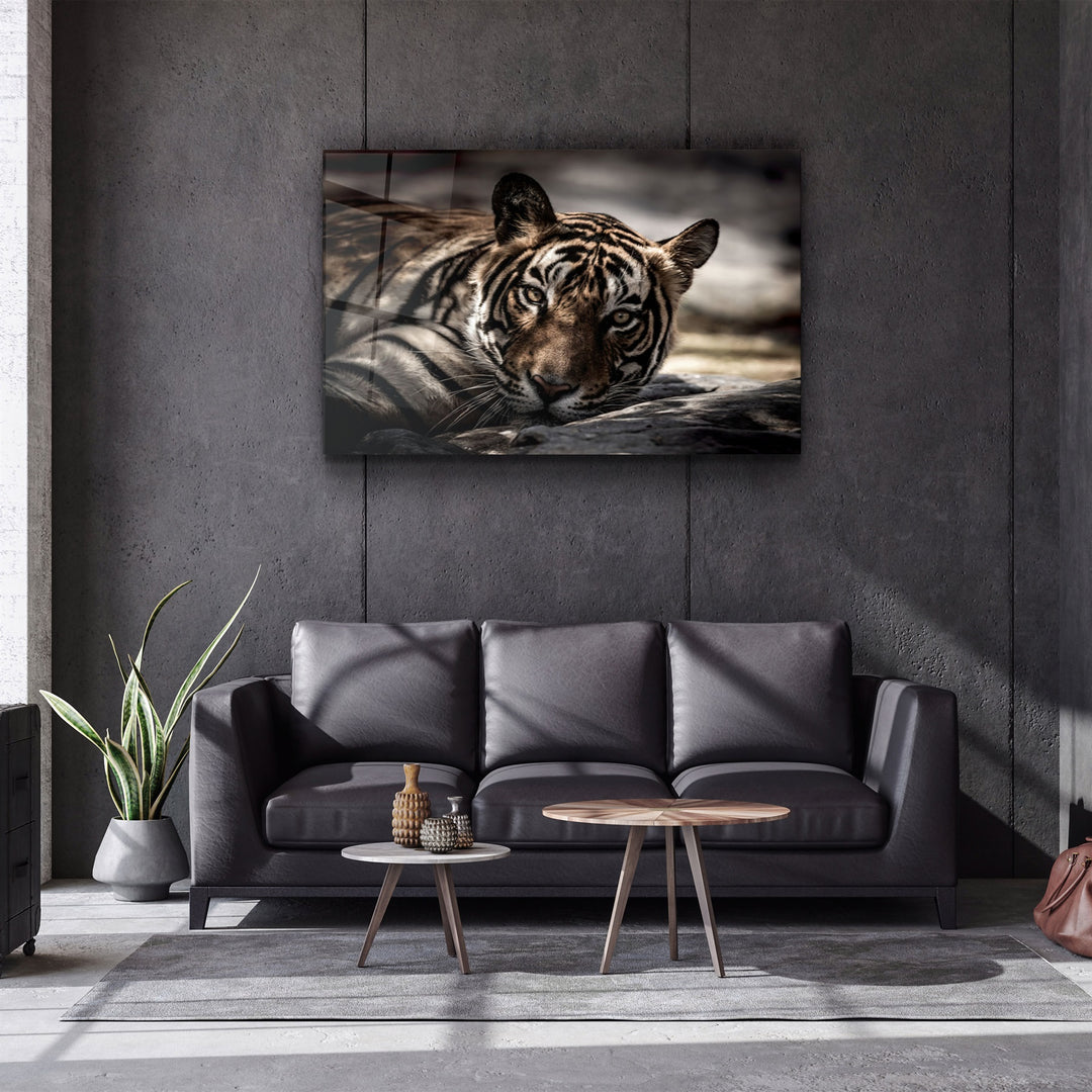 ・"Tired Tiger"・Glass Wall Art | Artdesigna Glass Printing Wall Arts.