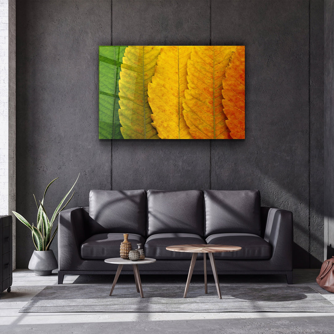 ・"Depth Of Focus"・Glass Wall Art | Artdesigna Glass Printing Wall Arts.