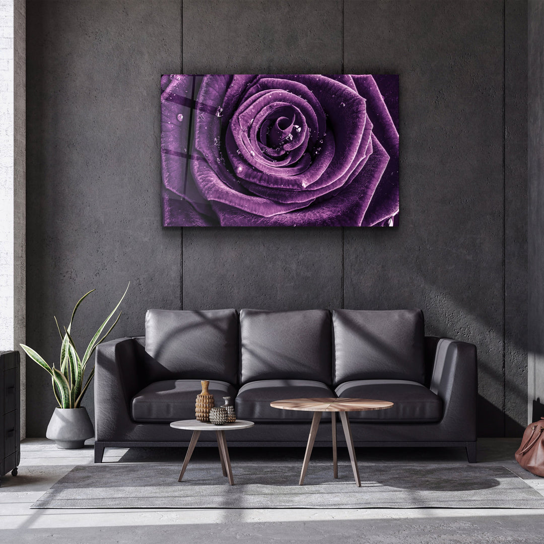 ・"Purple Rose V2"・Glass Wall Art | Artdesigna Glass Printing Wall Arts.