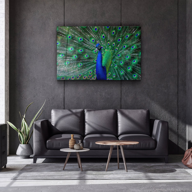 ・"The Peacock"・Glass Wall Art | Artdesigna Glass Printing Wall Arts.