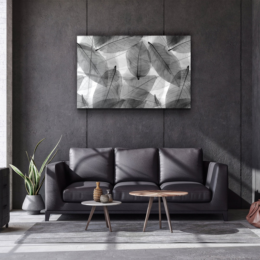 ・"Black - White Leaves"・Glass Wall Art | Artdesigna Glass Printing Wall Arts.