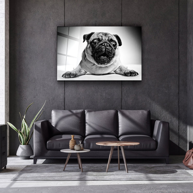 ・"Pug"・Glass Wall Art | Artdesigna Glass Printing Wall Arts.