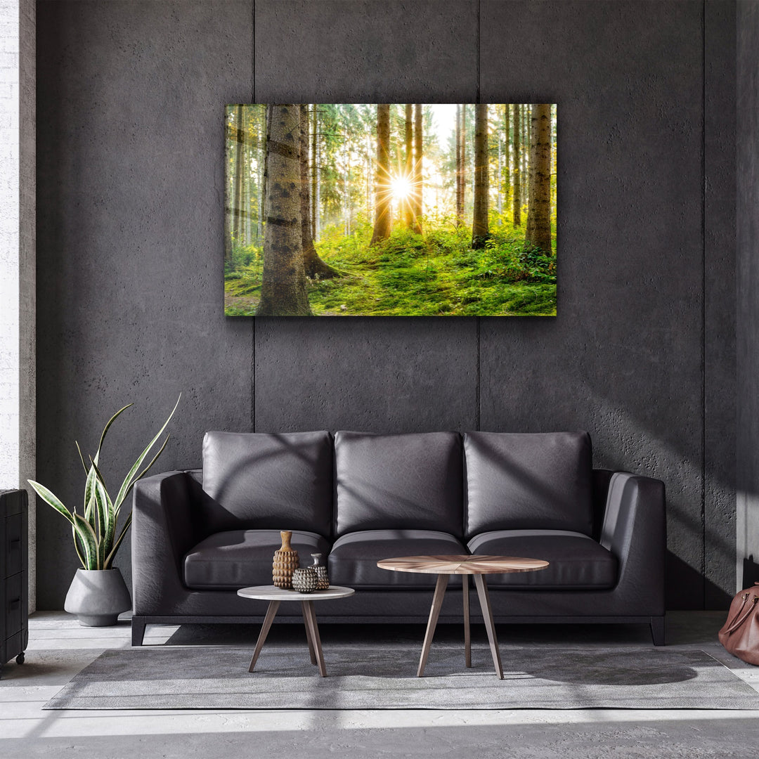 ・"The Forest"・Glass Wall Art | Artdesigna Glass Printing Wall Arts.