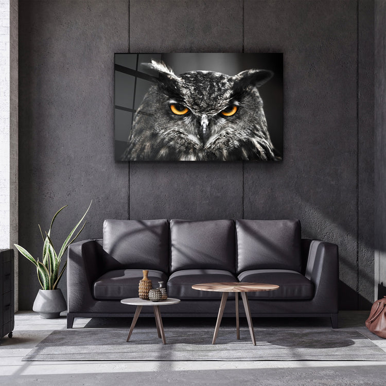 ・"Owl"・Glass Wall Art | Artdesigna Glass Printing Wall Arts.