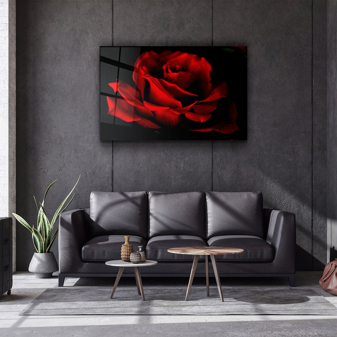 ・"Red Rose"・Glass Wall Art | Artdesigna Glass Printing Wall Arts.